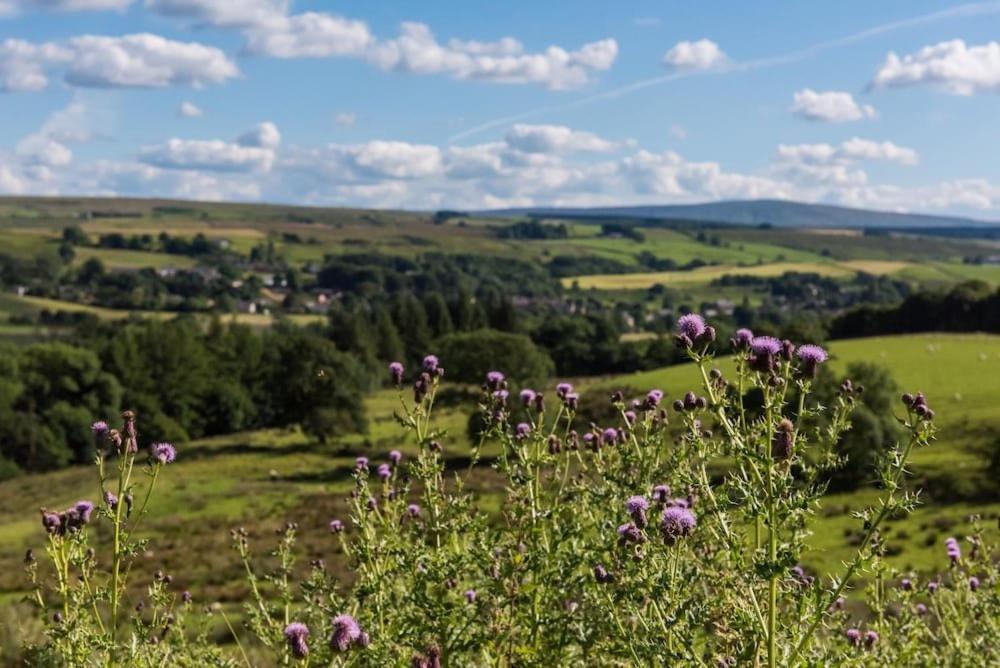 Gilsland Hall Hotel Hotel 3*